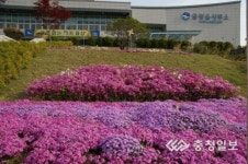음성 금왕읍사무소, 아름다운 청사 정원으로 주민 호평