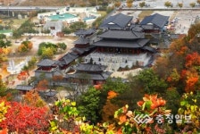 온달관광지 테마공원 조성 순항