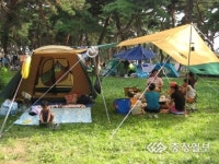 송호국민관광지 캠핑족 발길 북적