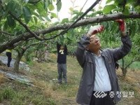 배농가 돕는 손길