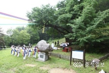금산 보석사 은행나무 대신제 개최