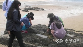 서천습지로 떠나는 체험여행