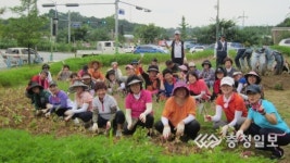 손바닥 공원정비 구슬땀