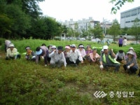노인들, 공원 정비에 구슬땀
