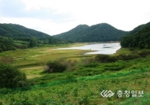 구불구불 능선따라 올라서니 지친 心身 달래주네