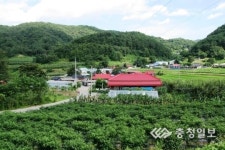 구불구불 능선따라 올라서니 지친 心身 달래주네