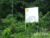 [카메라고발] 산불조심 알림판 훼손·방치