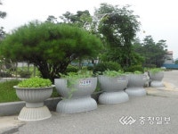 음성 소이면, 화분에 수박·멜론 등 특산물 심어 눈길