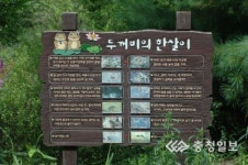 두꺼비·아이들 함께 뛰노는 청정 청주에 살어리랏다