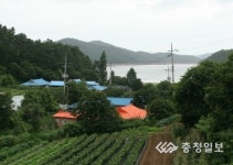 백골산성과 꽃님이 반도길 드넓은 호수 속 고개내민 초록색 작은 섬 한눈에