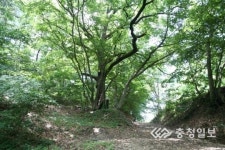 [충청인의 젖줄 대청호500리길](15) 백골산성, 후곡리와 가호리길