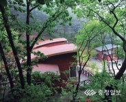 숲·물·들과 어우러지는 문화의 향기 세종대왕 100리길