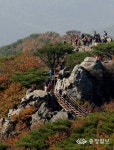 오서산 등산로 정비 해법 모색