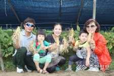 금산인삼축제 10일간의 향연 마무리