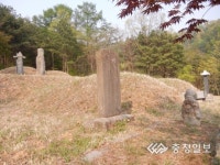 증평 김득신 묘소 충북문화재 된다