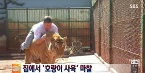 호랑이 기르는 가족,집에 맹수만 무려 9마리