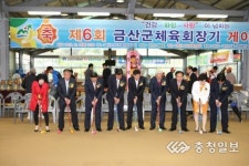 금산군체육회장기 게이트볼 성료