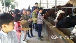 예산 신례원초 가을현장체험학습을 다녀왔어요