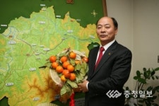 감고을 홍보용 주저리 감 제작