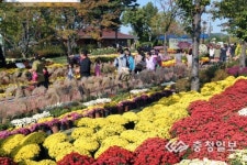 유림공원 국화전시회 대박행진
