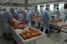 제일모직 오창사업장 소외 이웃에 김장 600포기 전달