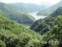 충청인의 젖줄 대청호 500리길 구름재와 은운리길