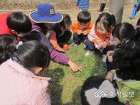 오송유치원 산책활동