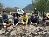 마을 도로변 화사하게