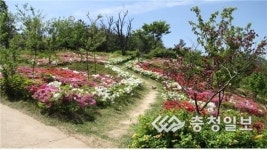 아산 영인산 수목원, 철쭉 등 봄꽃 만개