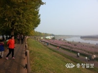아산 은행나무길, 4色 테마 거리로 재탄생