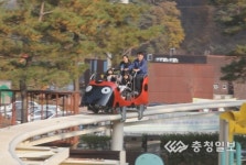 보은 솔향공원서 체험 즐겨요