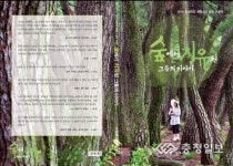 숲에서 몸과 마음을 치유한 감동 이야기