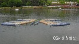 오창호수공원에 인공수초 둥둥