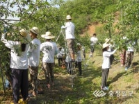 서울과기대생 200명 충주서 농촌봉사활동