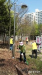 쌍용3동 노인회 소공원 환경정비