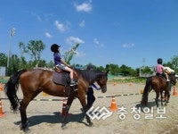 천안 성남초 충남 최초 유소년 승마단 선정