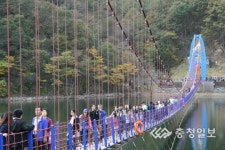 칠갑산도립공원 출렁다리 출입통제