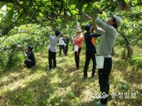 냉해피해 농가 일손돕기 구슬땀