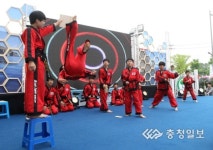 8회 충청페스티벌-독도플래시몹경연대회 멋진격파 선보이는 블랙타이거 합기도시범단