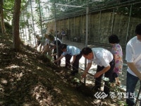 공원 가꾸기 우리 손으로