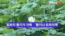 [충청일보TV] - 도라지향기가 가득 향기나 도라지액…무궁화 식품(연잎한과)