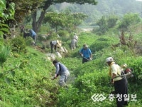 마을 실개천 살리기 우리 손으로