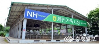 가축시장 전자경매 시작