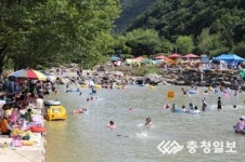 장령산 휴양림서 더위 잊고 休∼