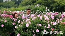 무궁화 동산서 추억 만들어요