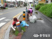 봉명동 주요 도로변 잡초제거 실시