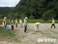 광덕면 노인회, 하천정비 봉사