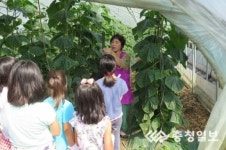 직접 딴 오이로 음식 만들어요