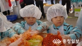 [제2회 한마음 김장김치담그기 나눔축제] 금천아람어린이집 신기한 김장체험