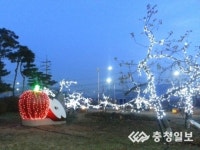 충주 사과나무가로수 트리 점등